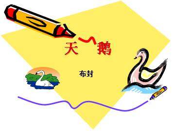 天鹅_课件5