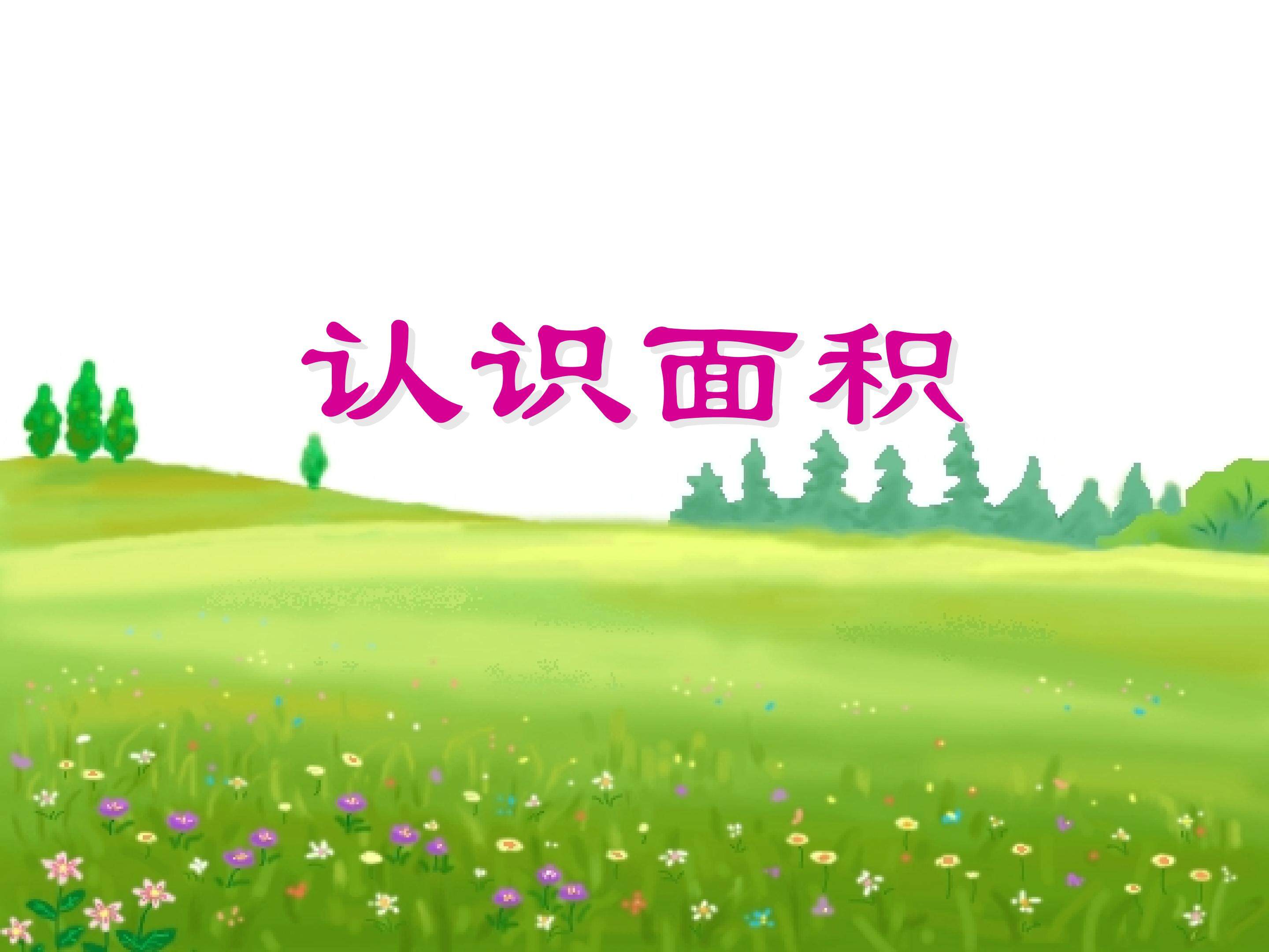 认识面积