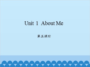 Unit 1  About Me-第五课时_课件1