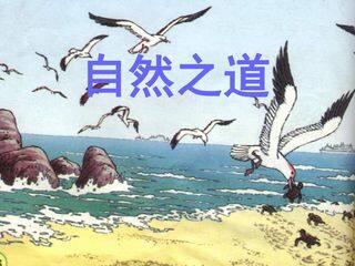 自然之道_课件1