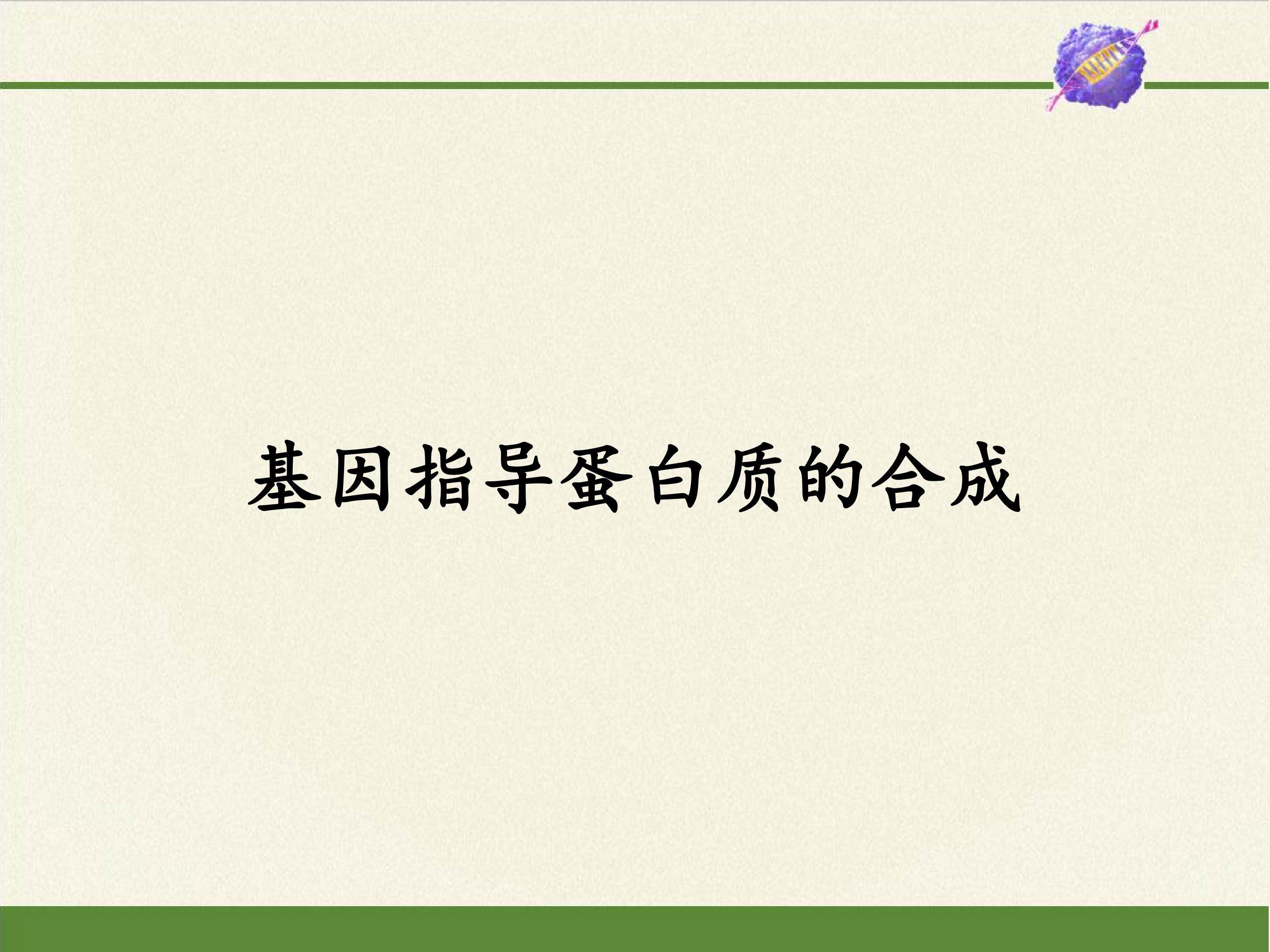 基因指导蛋白质的合成