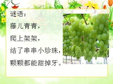 葡萄沟