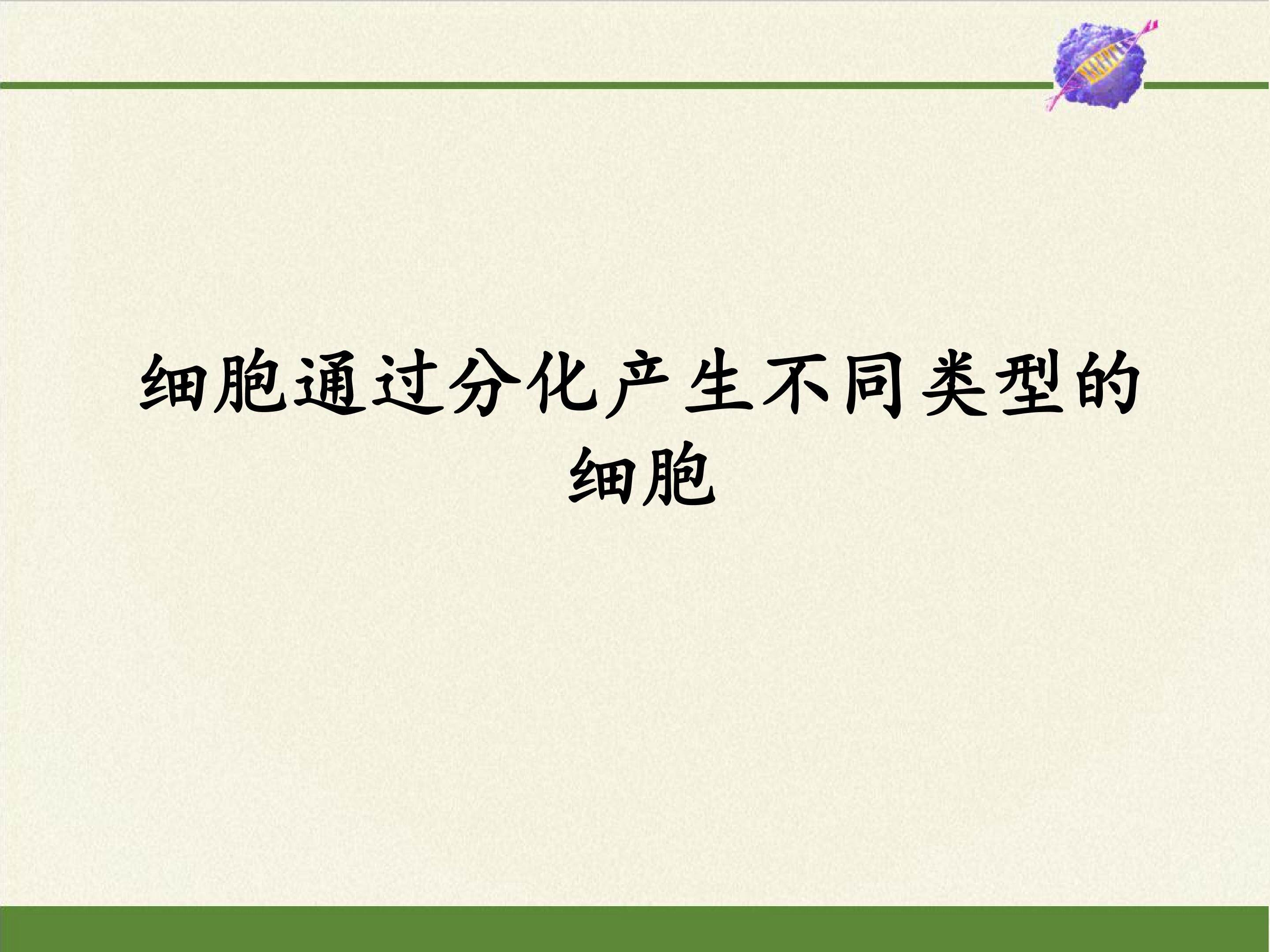 细胞通过分化产生不同类型的细胞