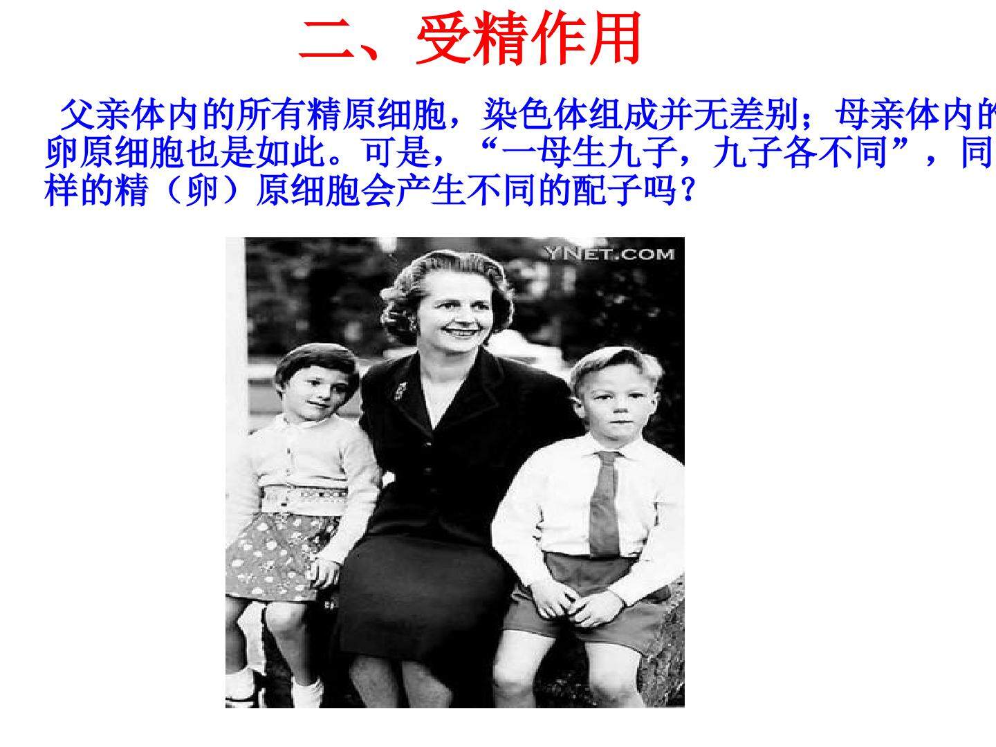 选三《受精作用(动画版)》素优质课件