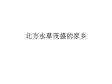 北方水草茂盛的家乡_课件1