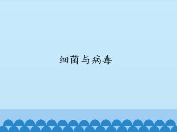 细菌和病毒_课件1