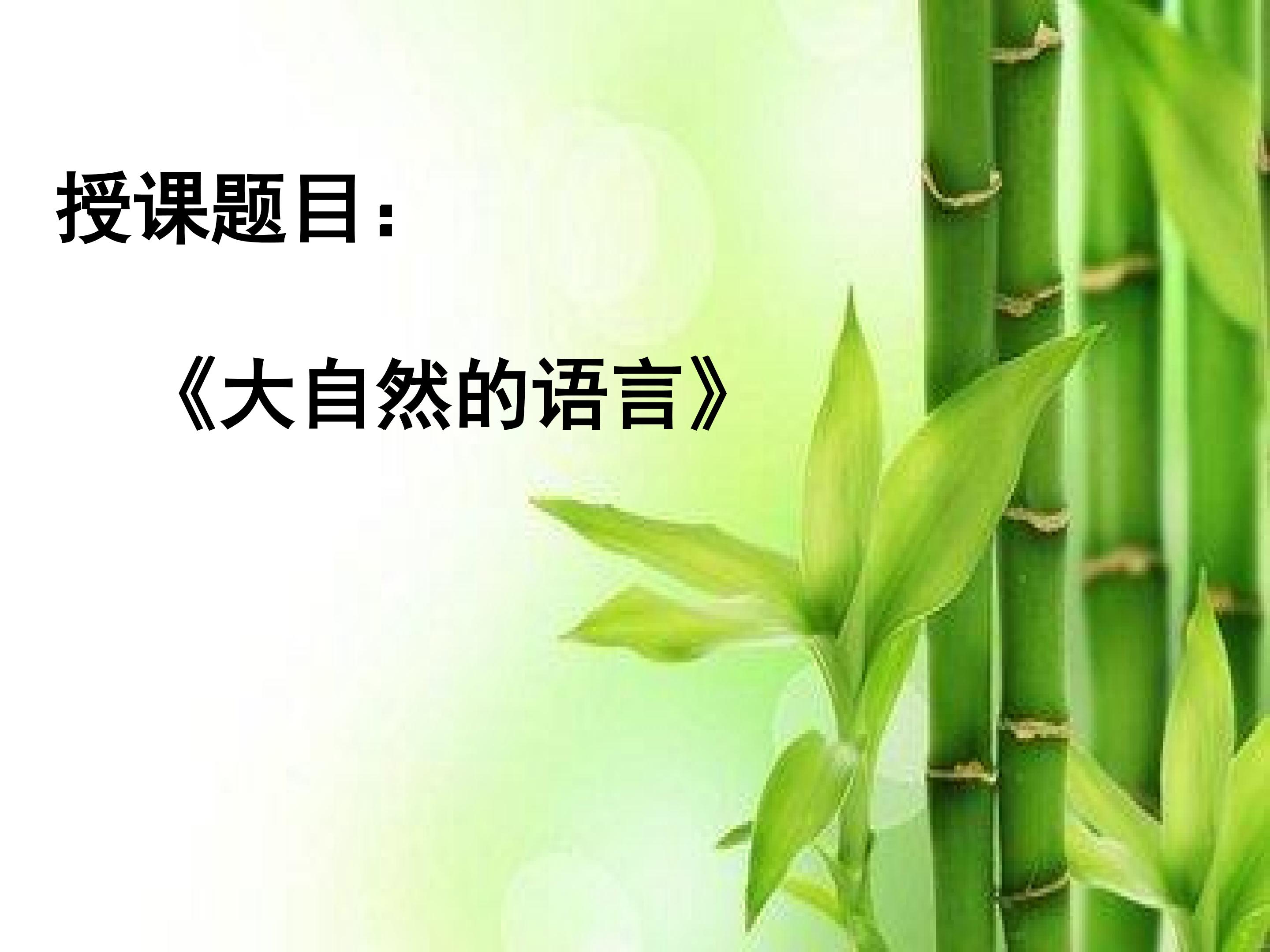 《大自然的语言》