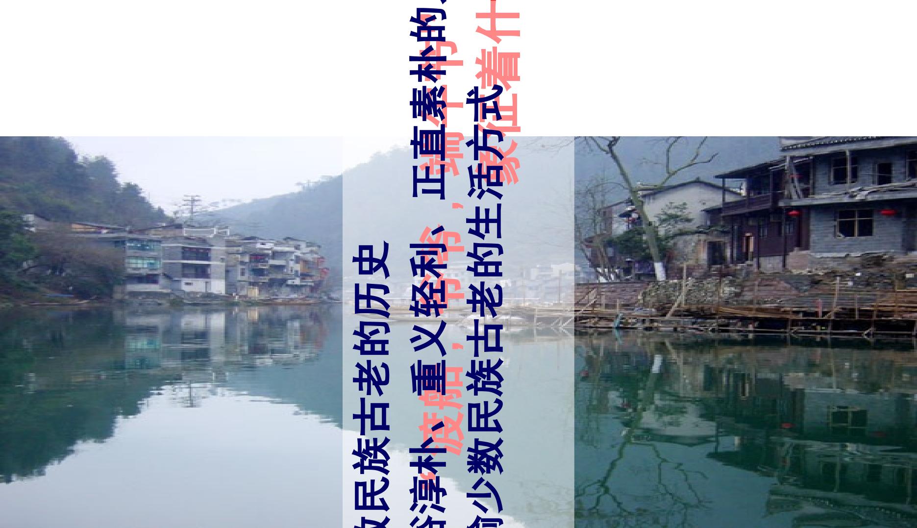 95.jpg