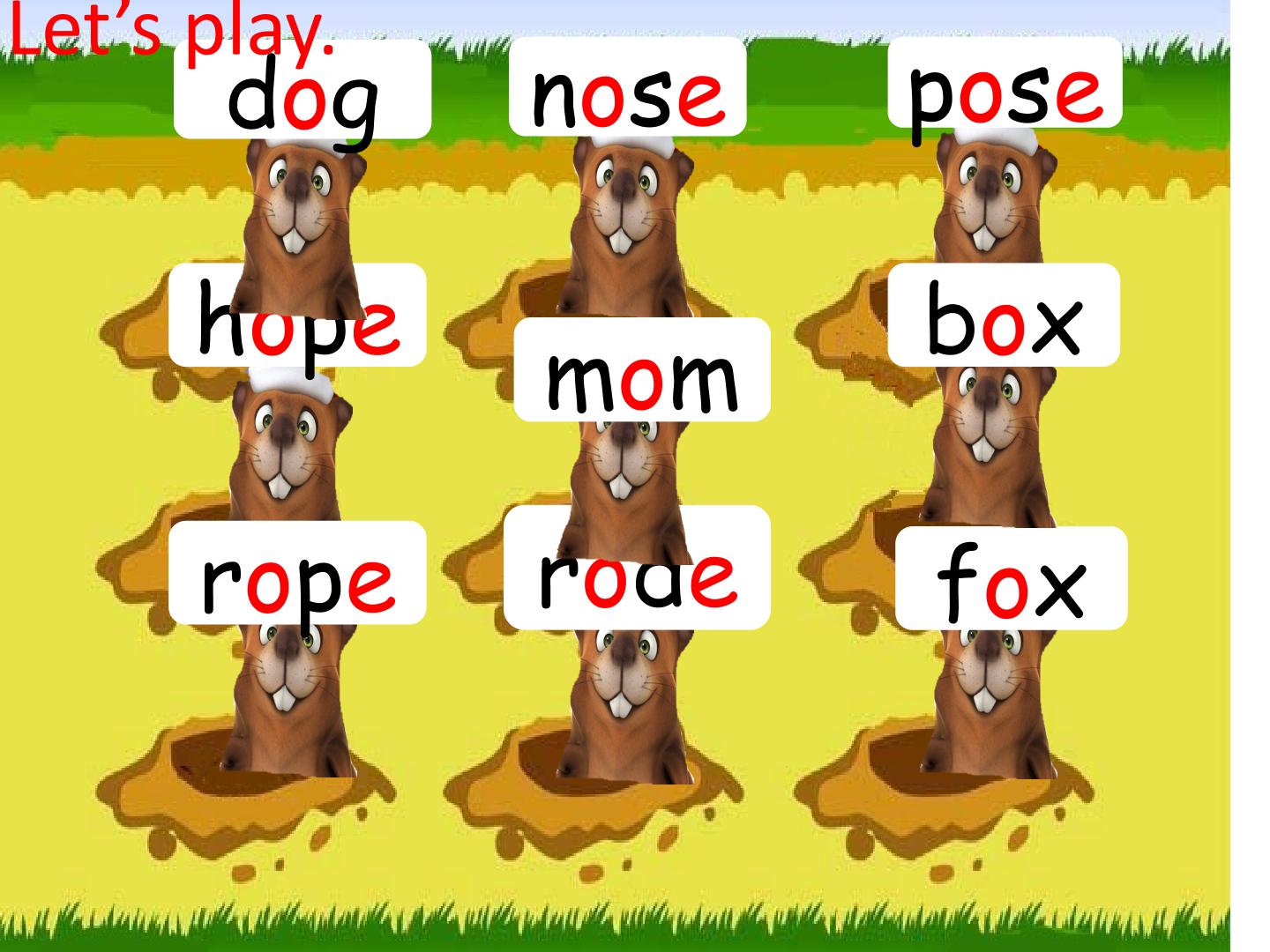 18.jpg