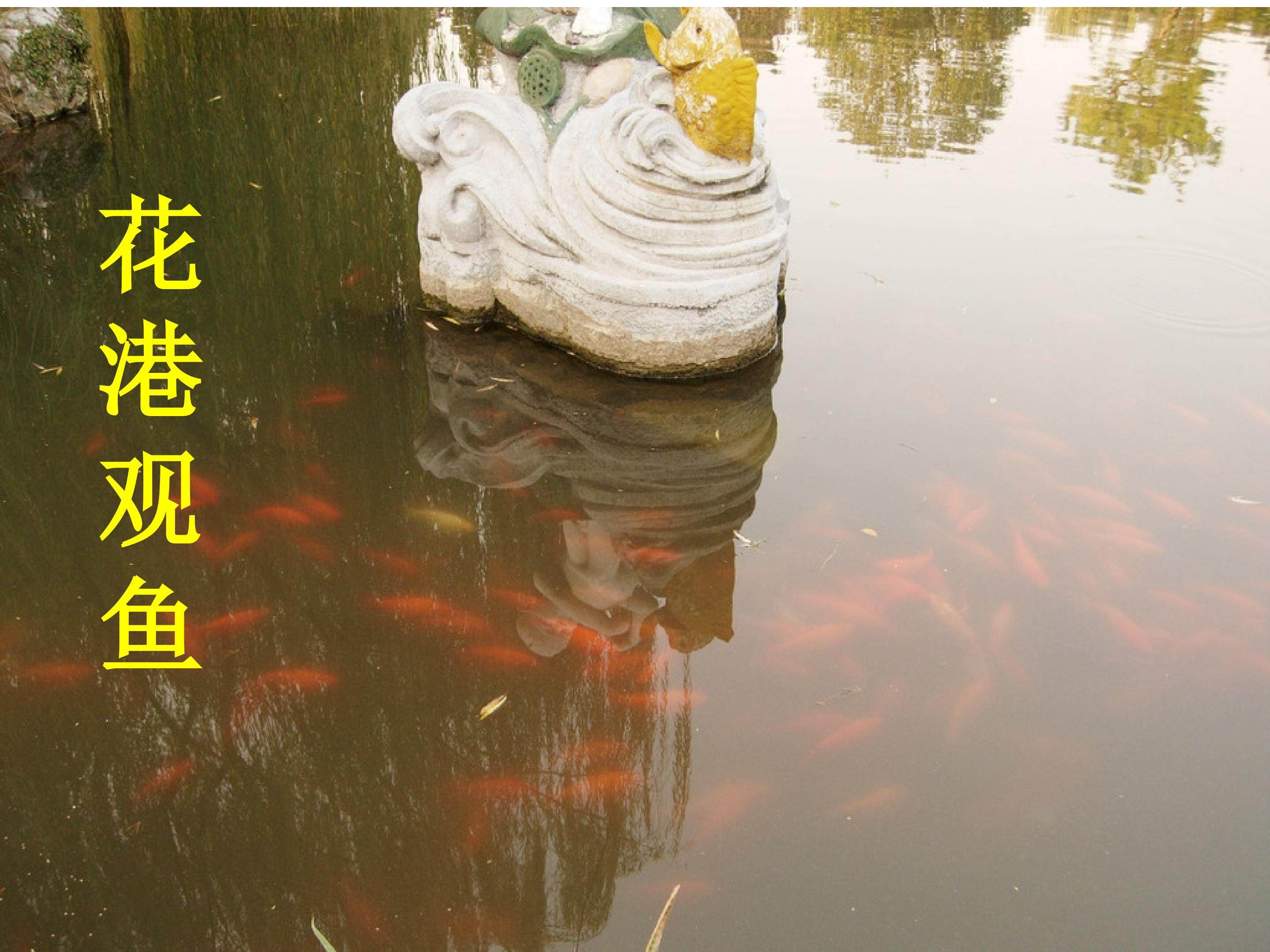 《鱼游到了纸上》课件
