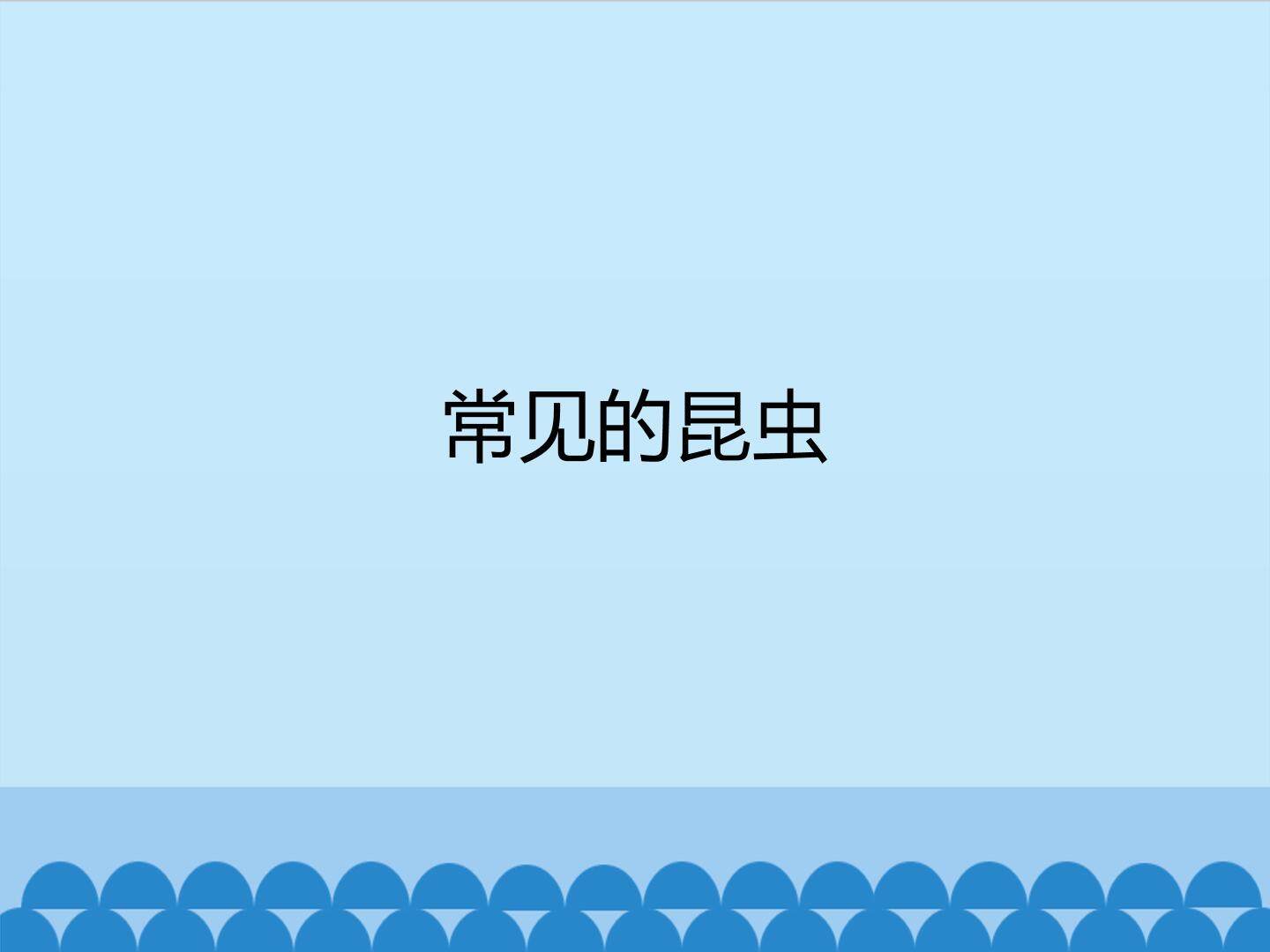 常见的昆虫_课件1