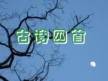 过零丁洋_课件6