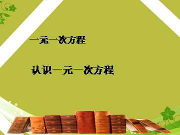 认识一元一次方程_课件1