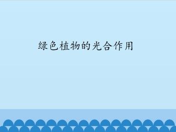 绿色植物的光合作用_课件1