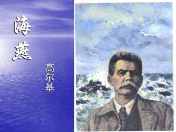 海   燕_课件5