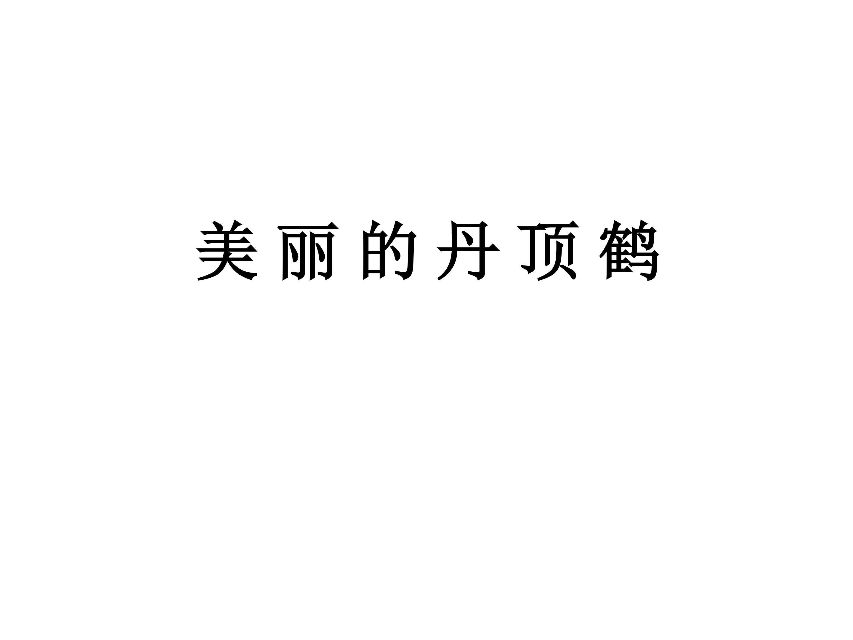 美丽的丹顶鹤_课件2