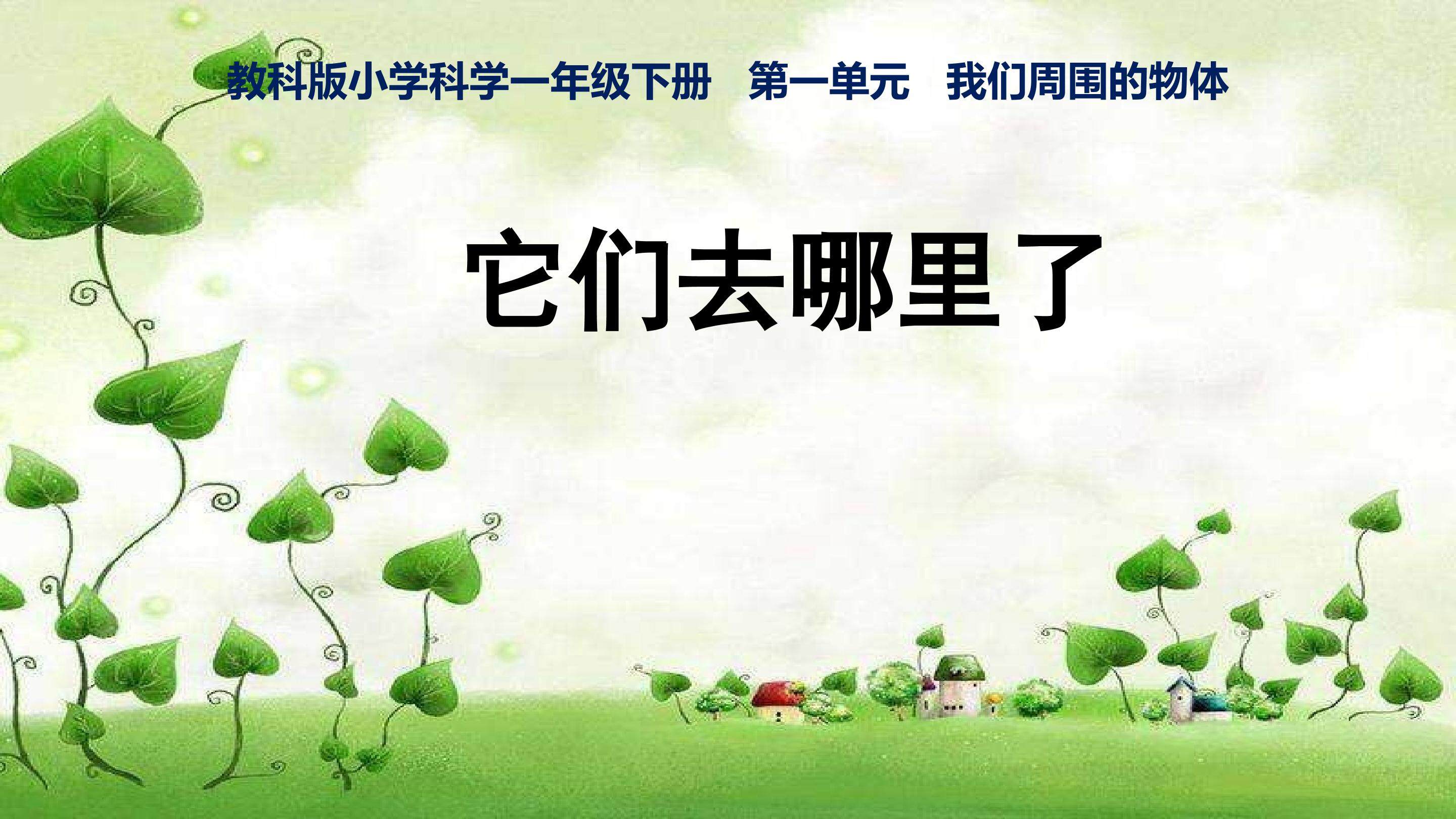 《它们去哪里了 》说课课件