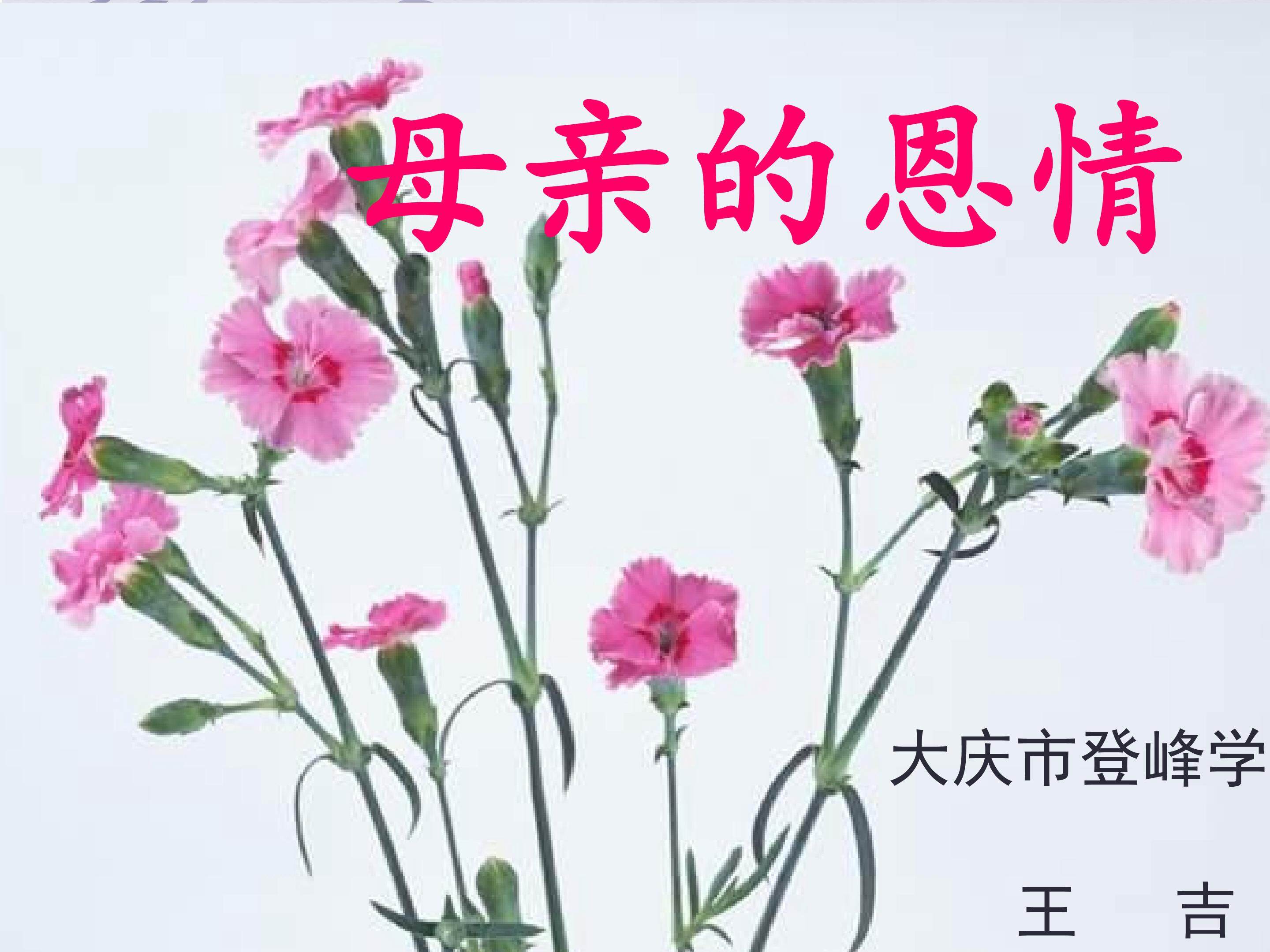 母亲的恩情