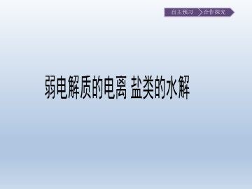 弱电解质的电离 盐类的水解_课件1