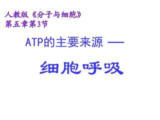 ATP的主要来源----细胞呼吸