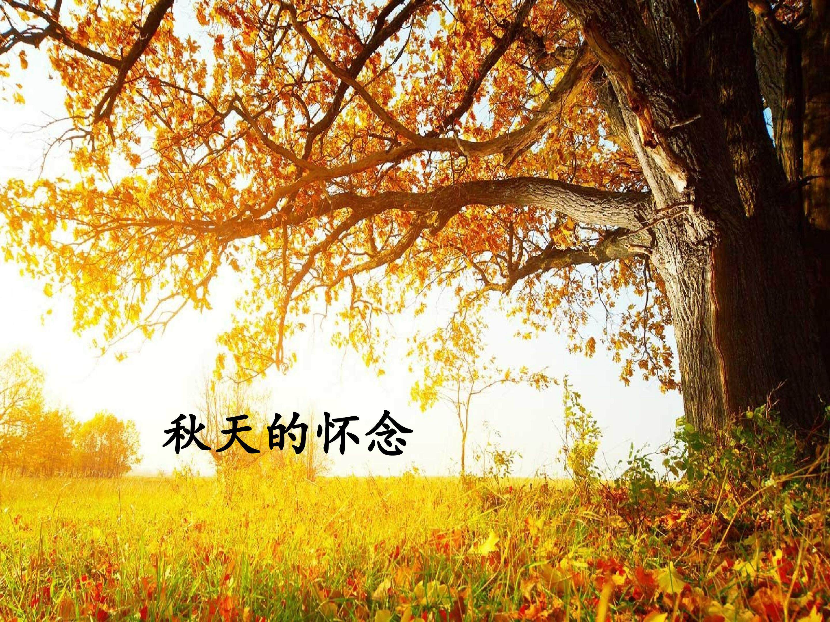 秋天的怀念/史铁生_课件1