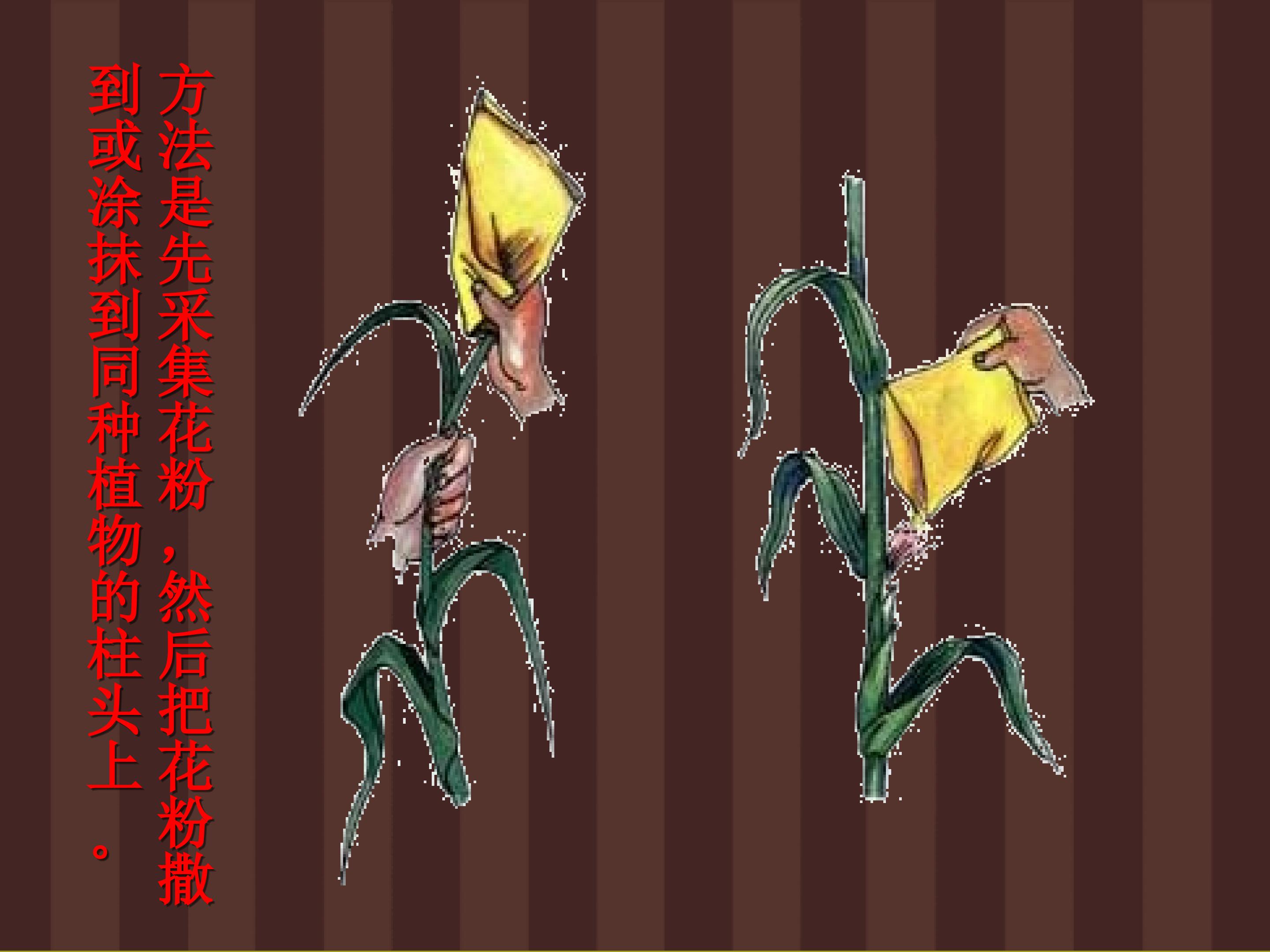 24.jpg
