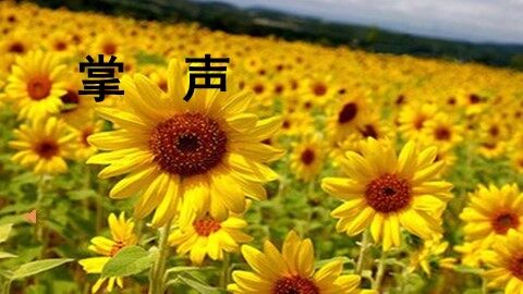 29 掌声
