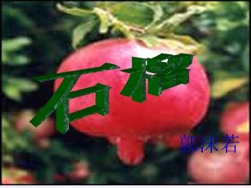 石   榴_课件5