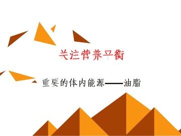 重要的体内能源----油脂_课件1