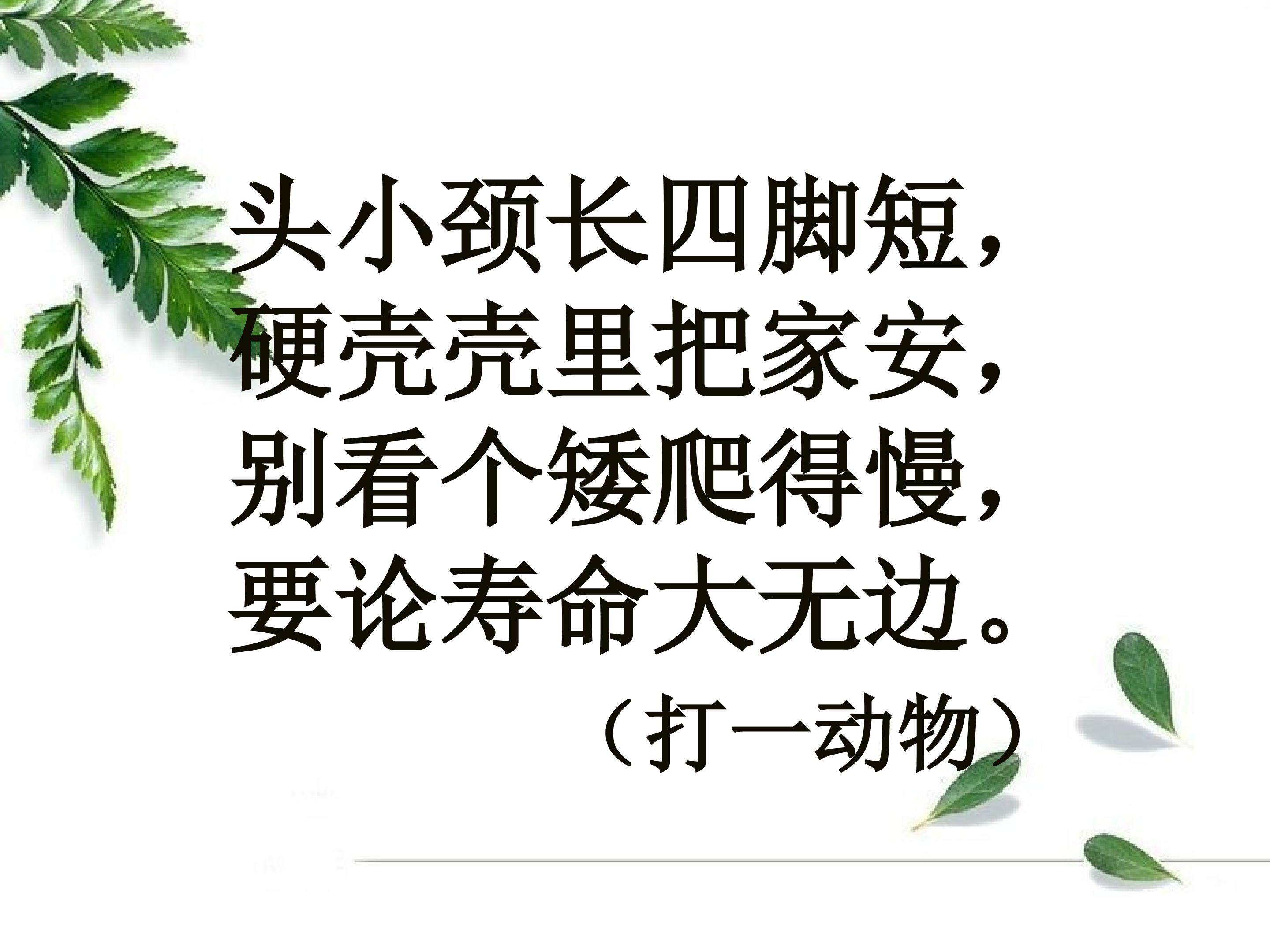 《小乌龟找工作》