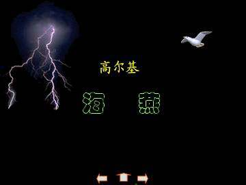 海   燕_课件6