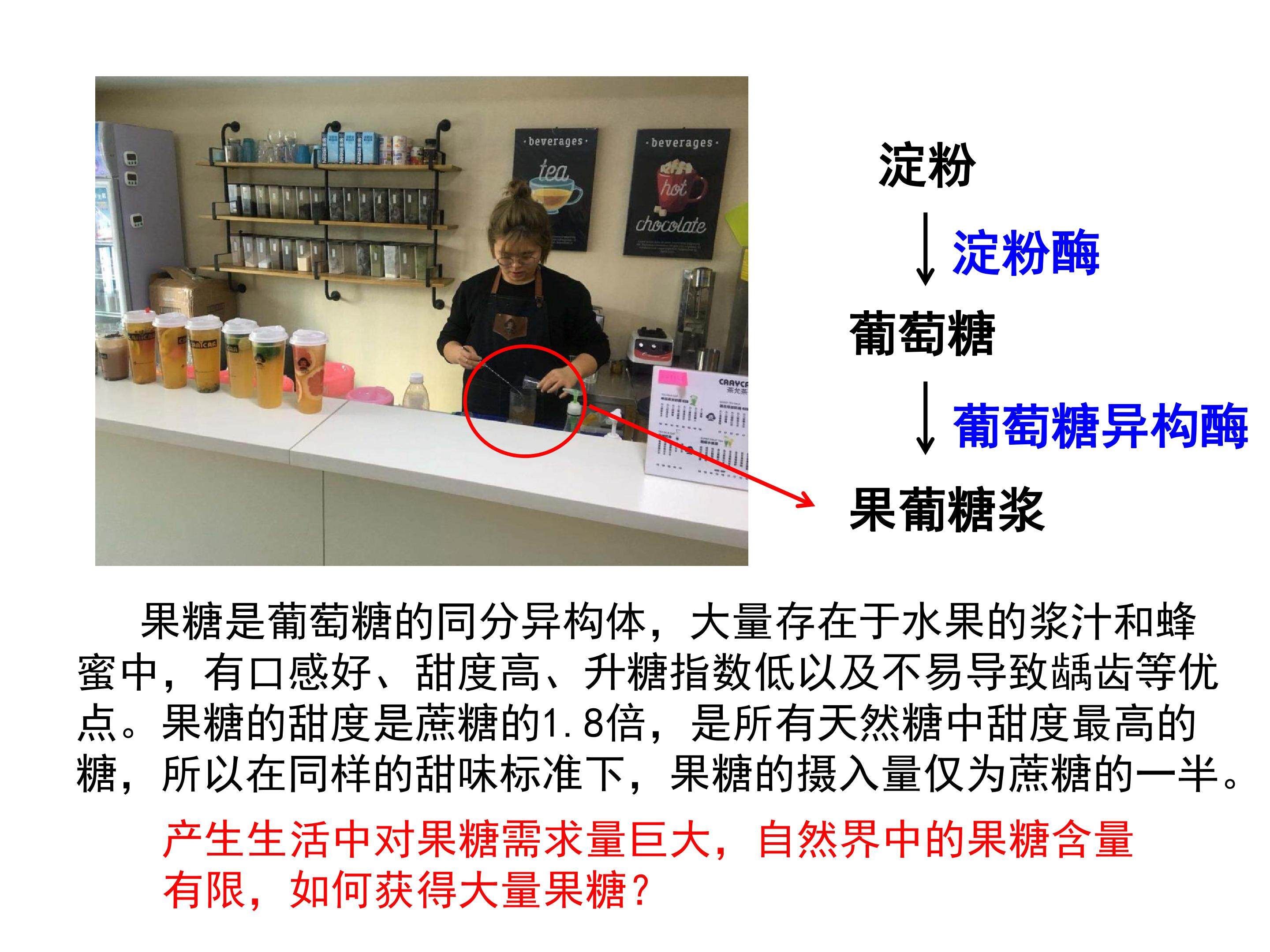 《酶在工业生产中的应用》教学课件