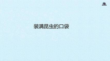 装满昆虫的口袋