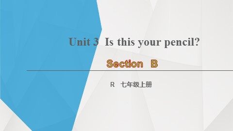 Section B