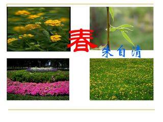 春_课件13