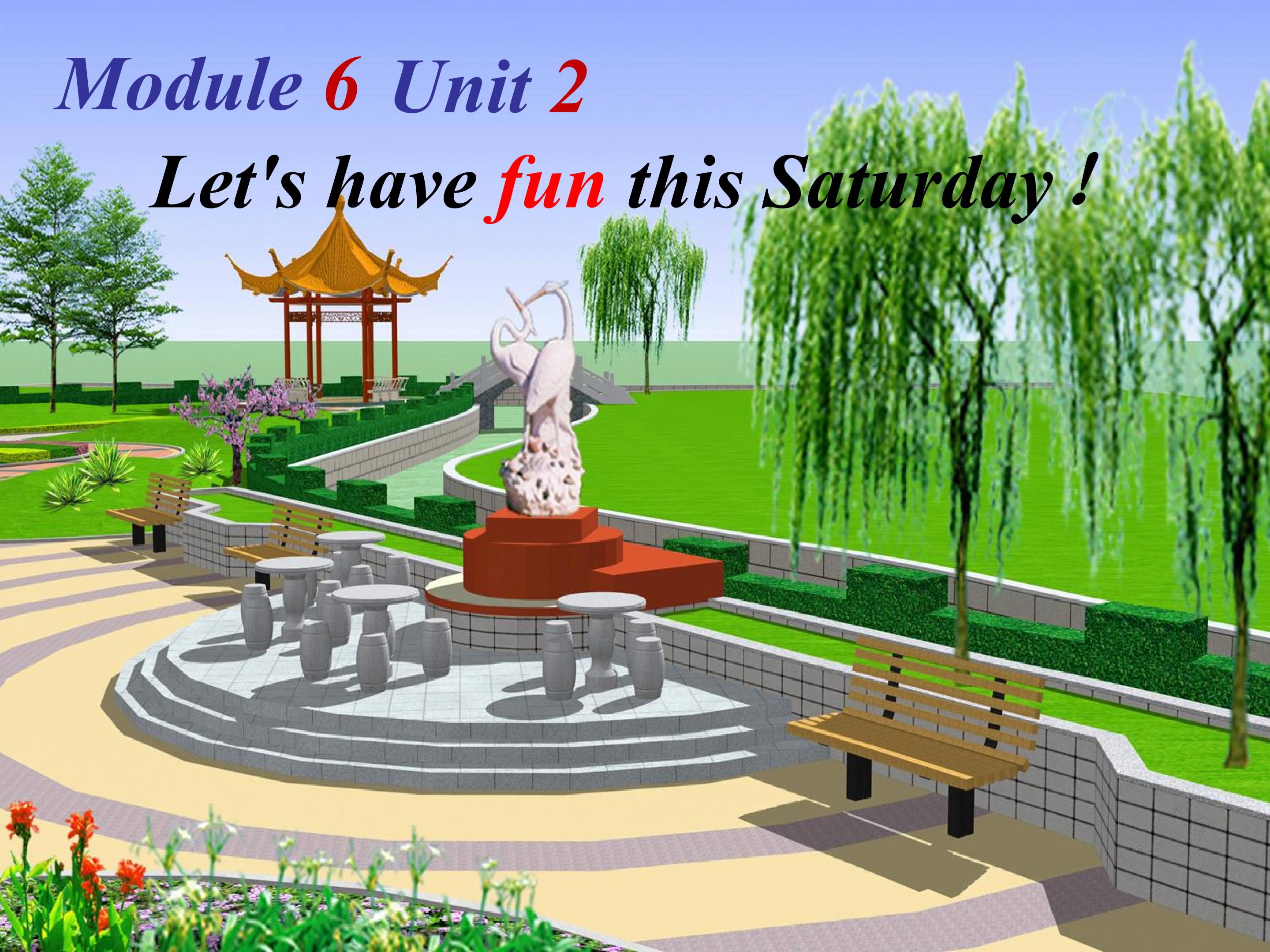 Let's have fun this Saturday!