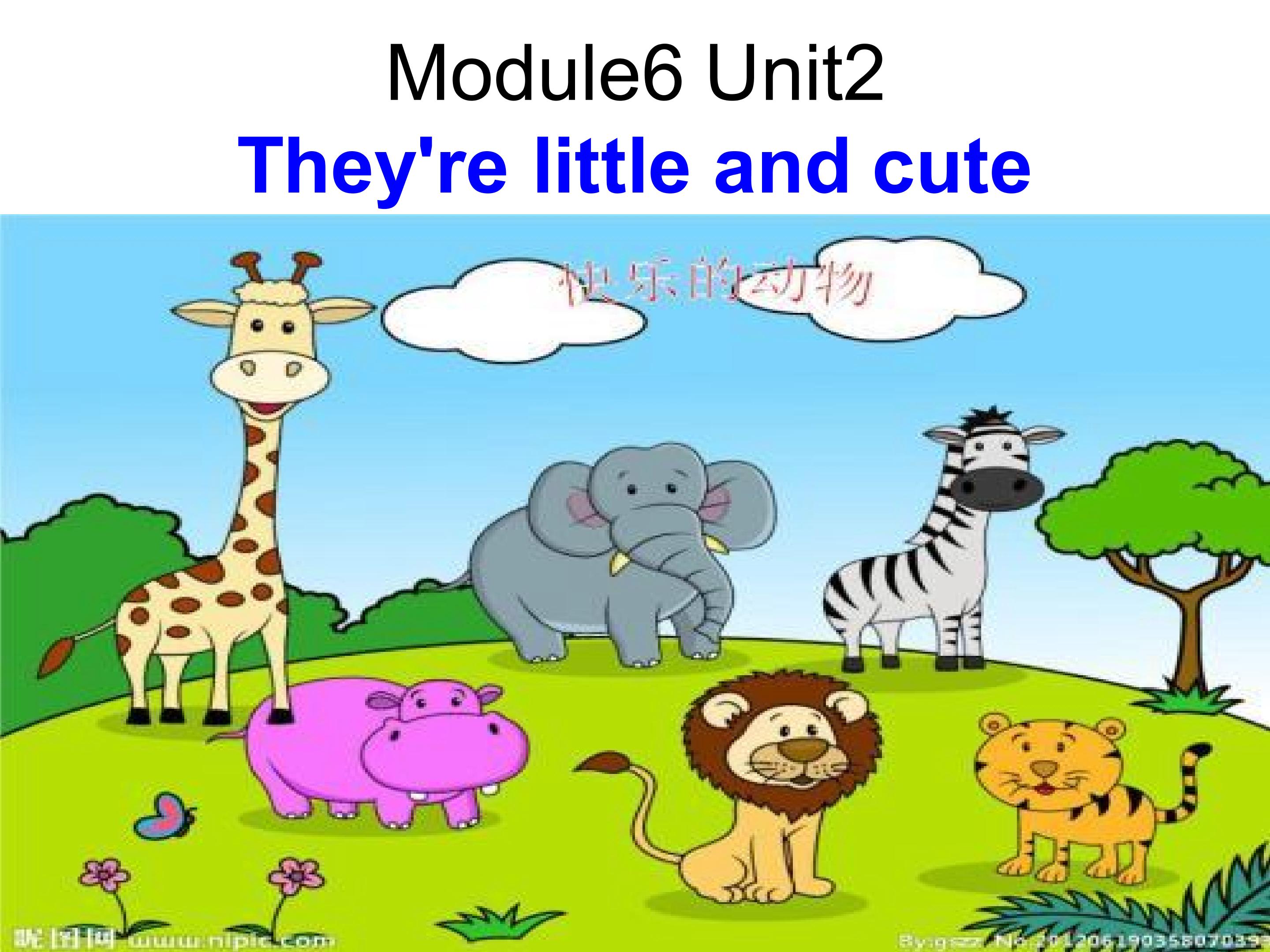 Module6Unit2 They're little and cute.