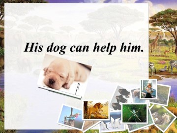 His dog can help him._课件1