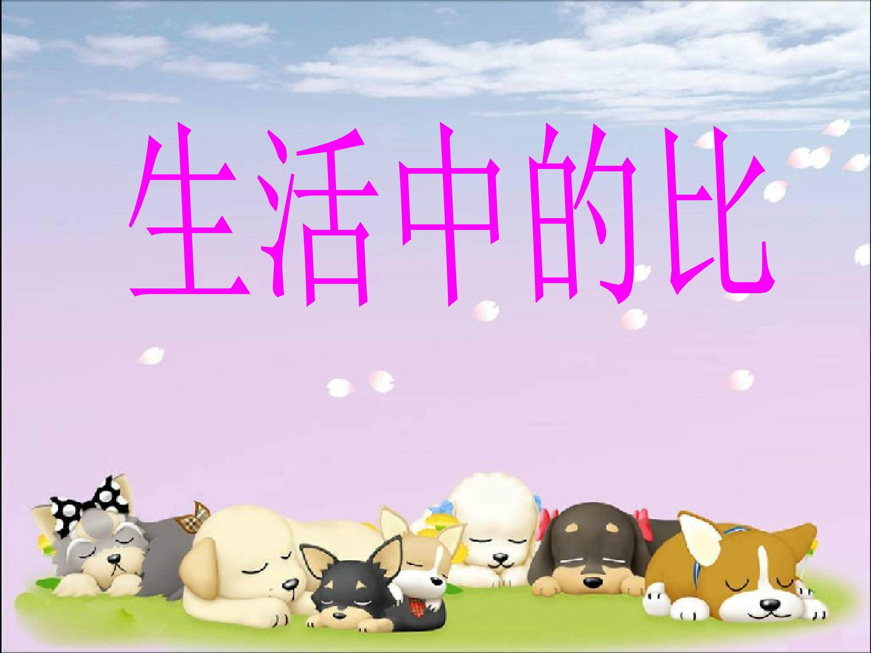 比的认识