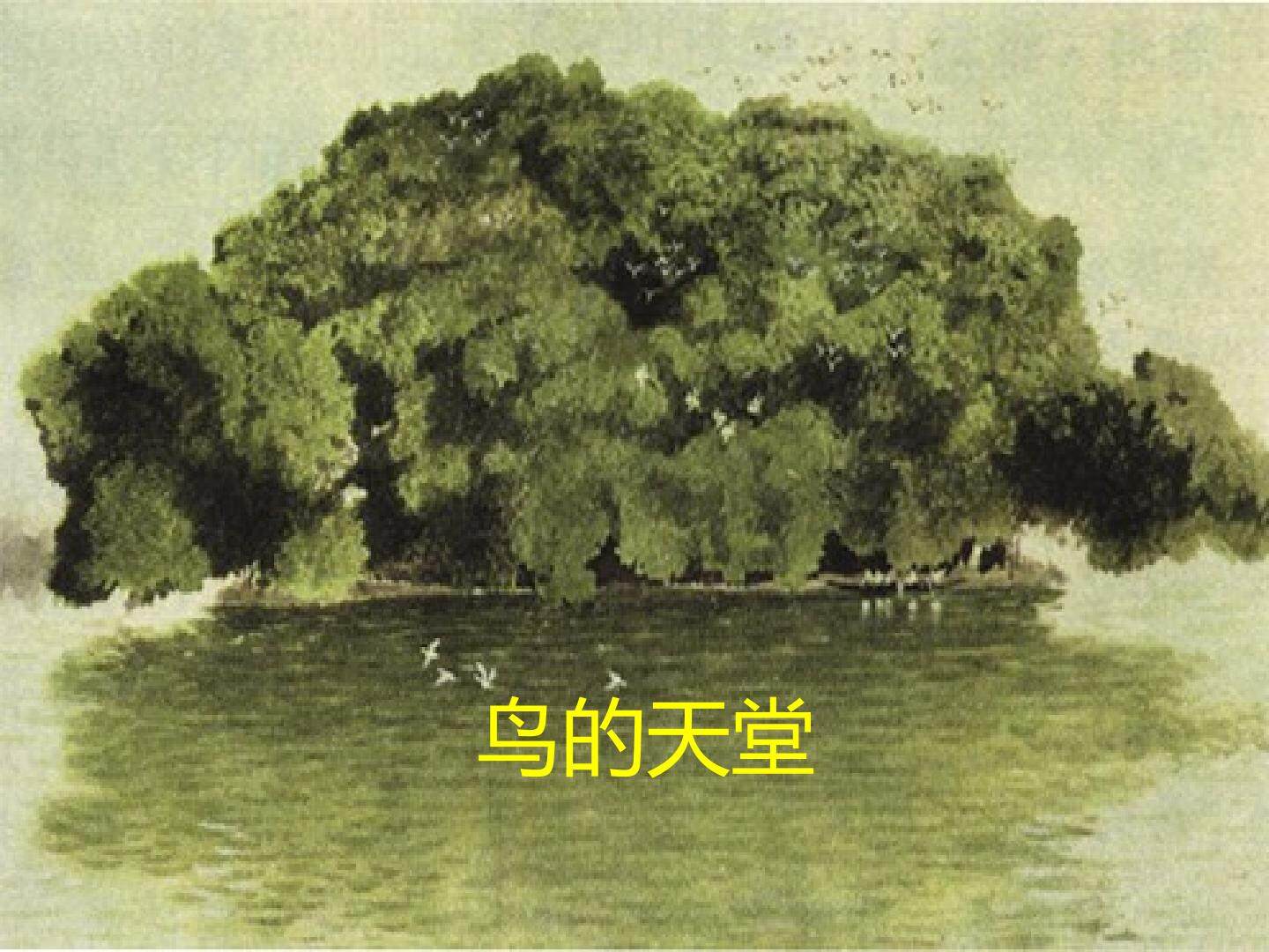 6.《鸟的天堂》教学课件1