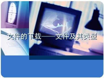 2.3.1 文件及其类型