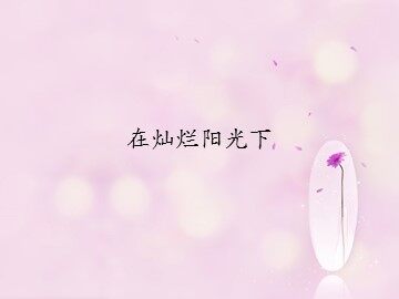在灿烂阳光下_课件1