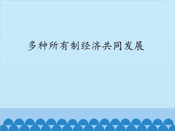 多种所有制经济共同发展_课件1