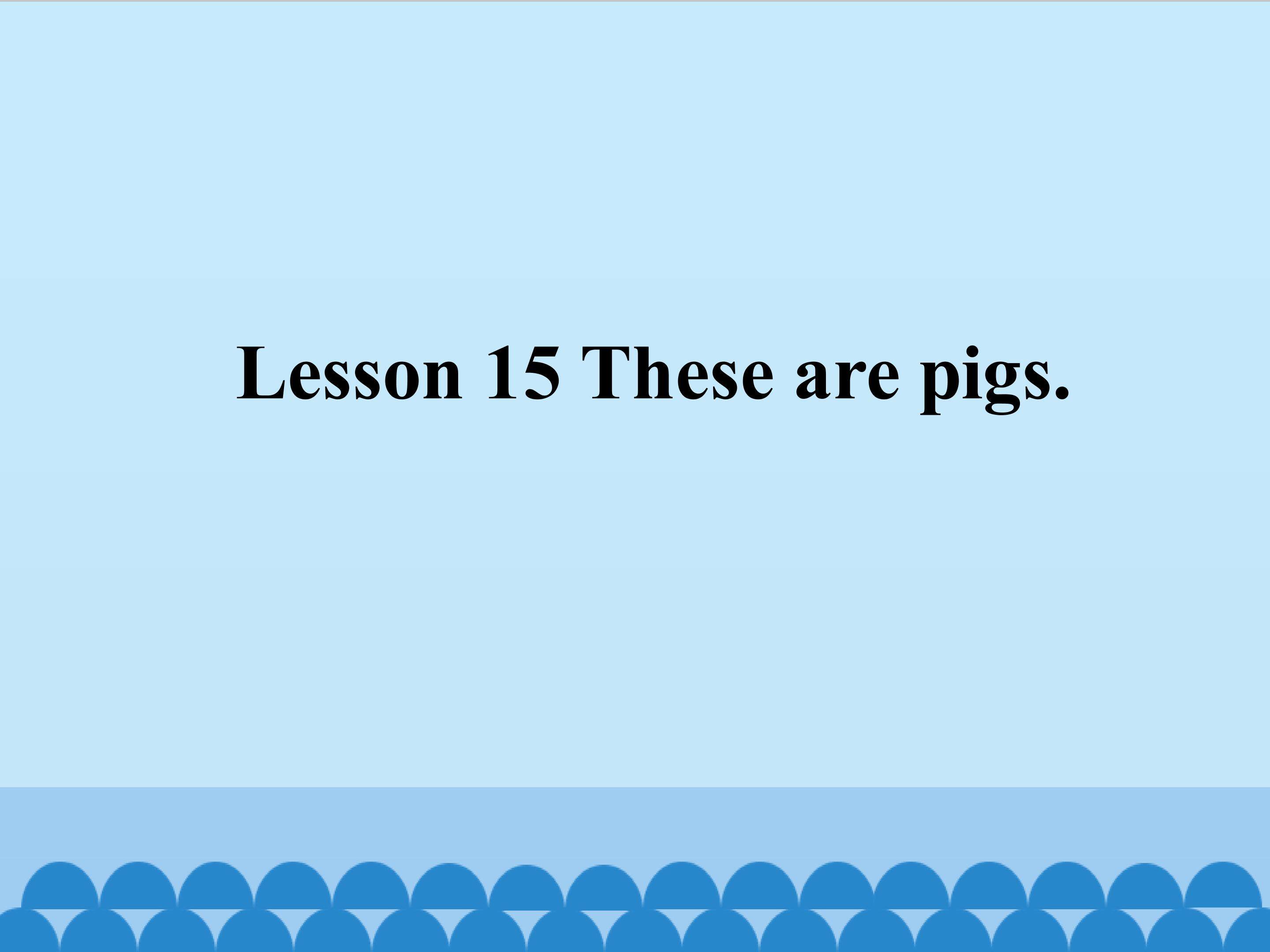 Lesson 15 These are pigs
