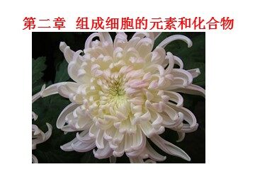 生物高中必修1第二章复习课件