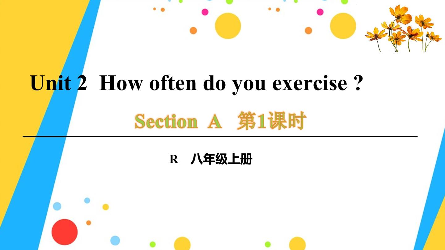 人教版初中英语Unit 2 How often do you exercise?