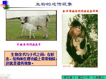 生物高中必修2第三章第一节课件5