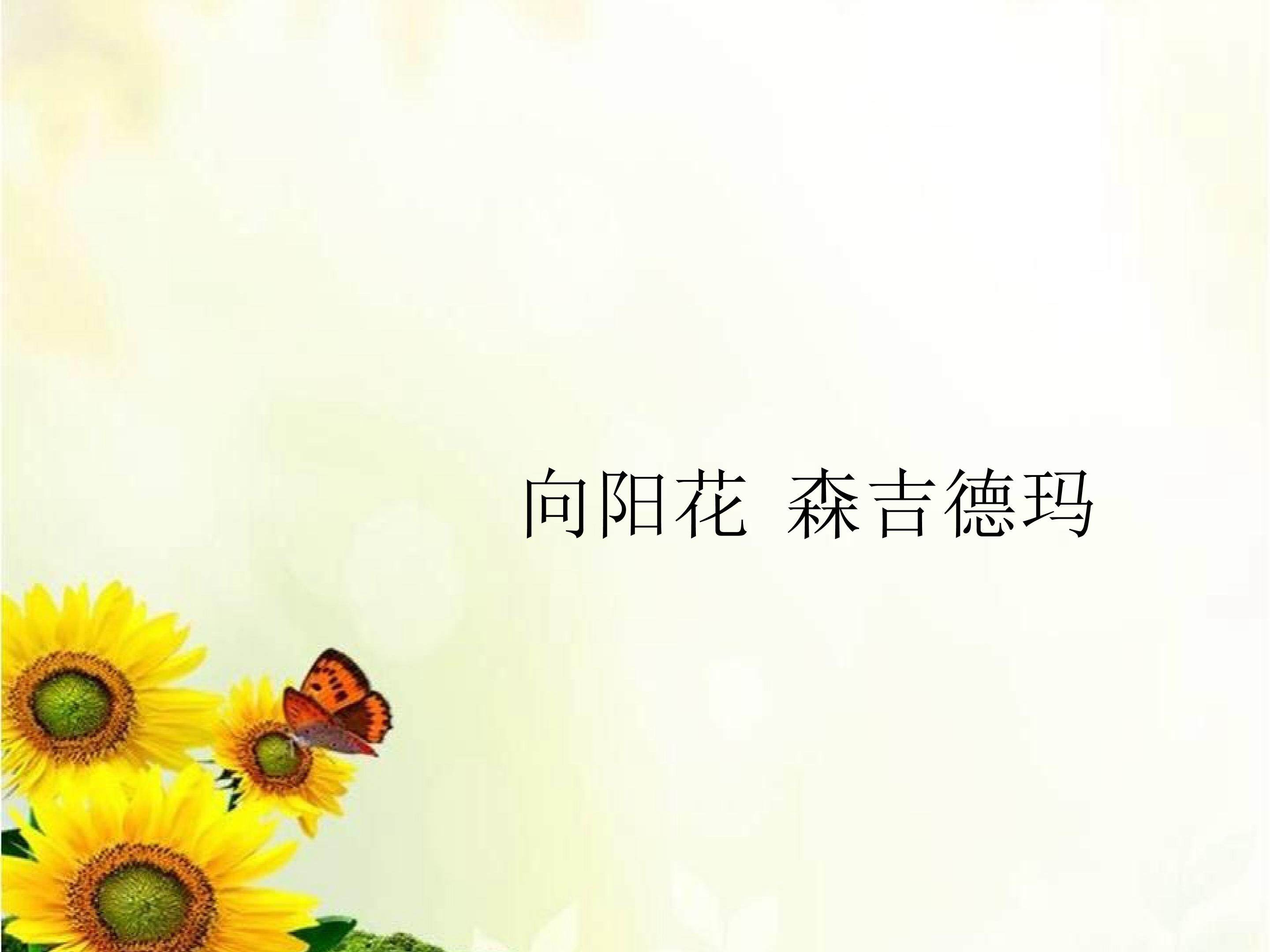 向阳花  森吉德玛_课件1