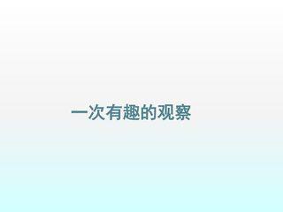 一次有趣的观察_课件1