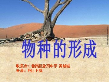 生物高中必修2第七章第二节第三课时课件5